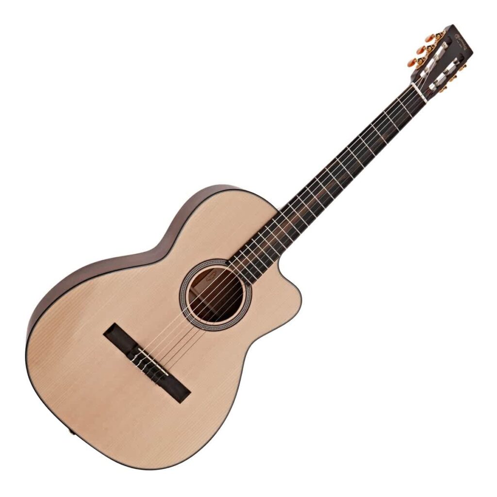 What Are The Best Classical Guitar Brands? (2023) Ted's List