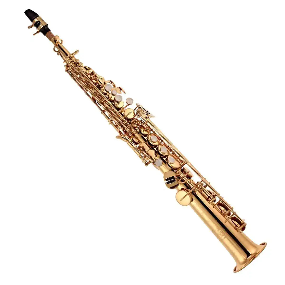 Trevor James 'The Horn' Soprano Saxophone Review 1