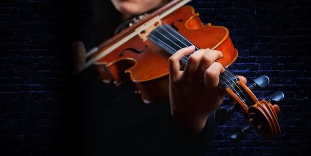 Top 7 Beginner Violins For Adults The Ultimate Guide (2024) Ted's List
