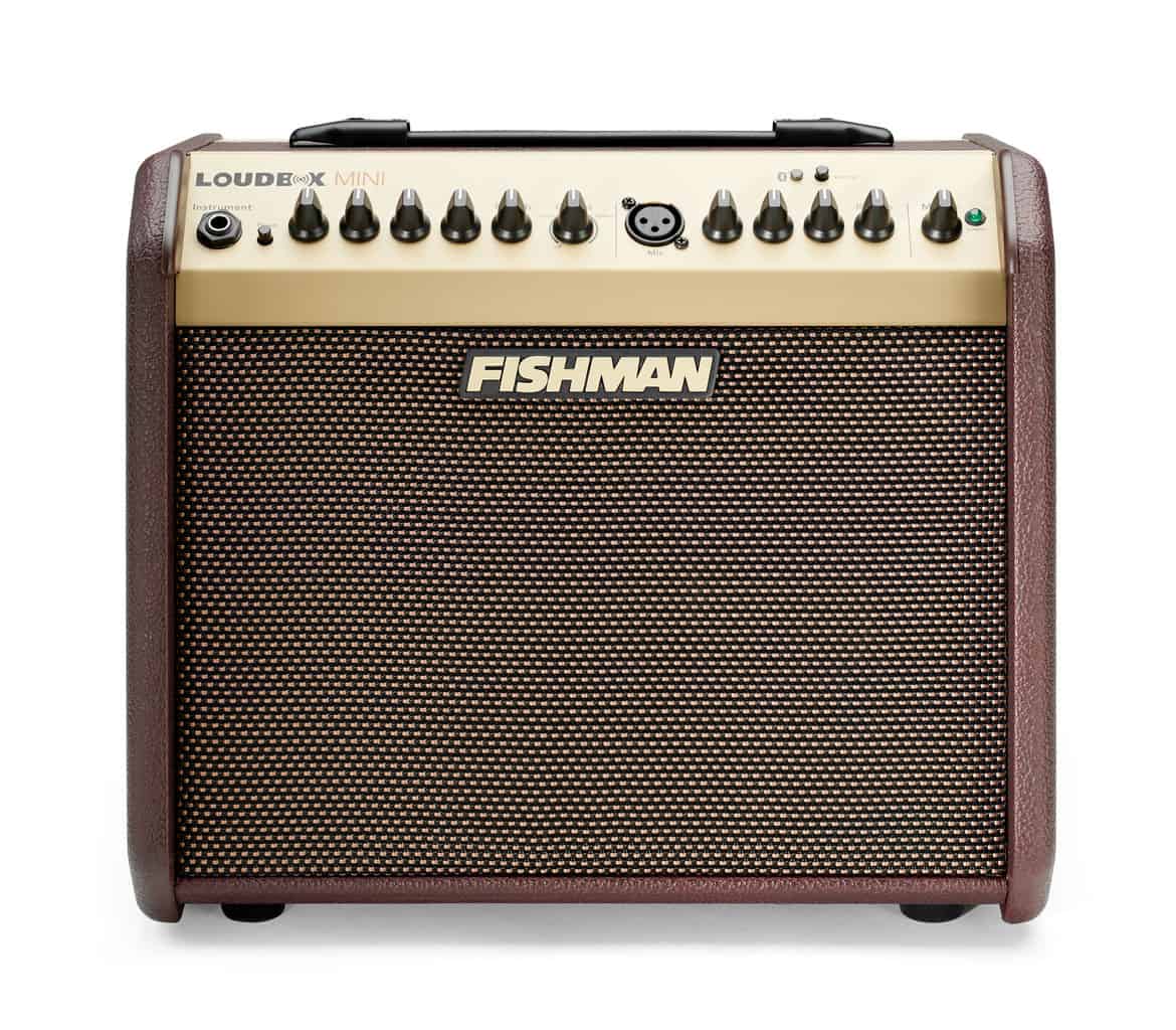 Fishman Loudbox Mini Review