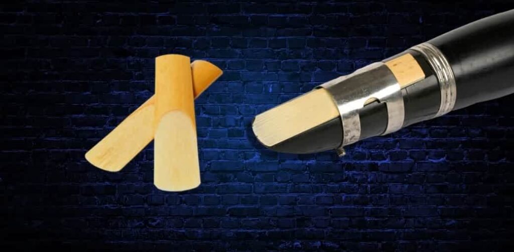 How To Put A Reed On Ted's List