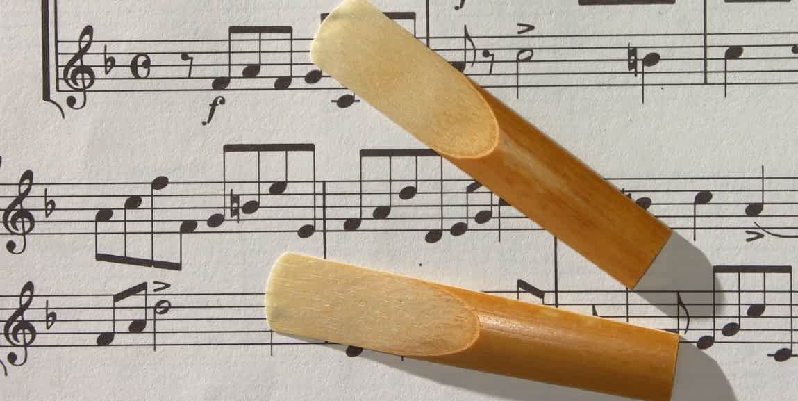 The Complete List Of Double Reed Instruments | Ted's List