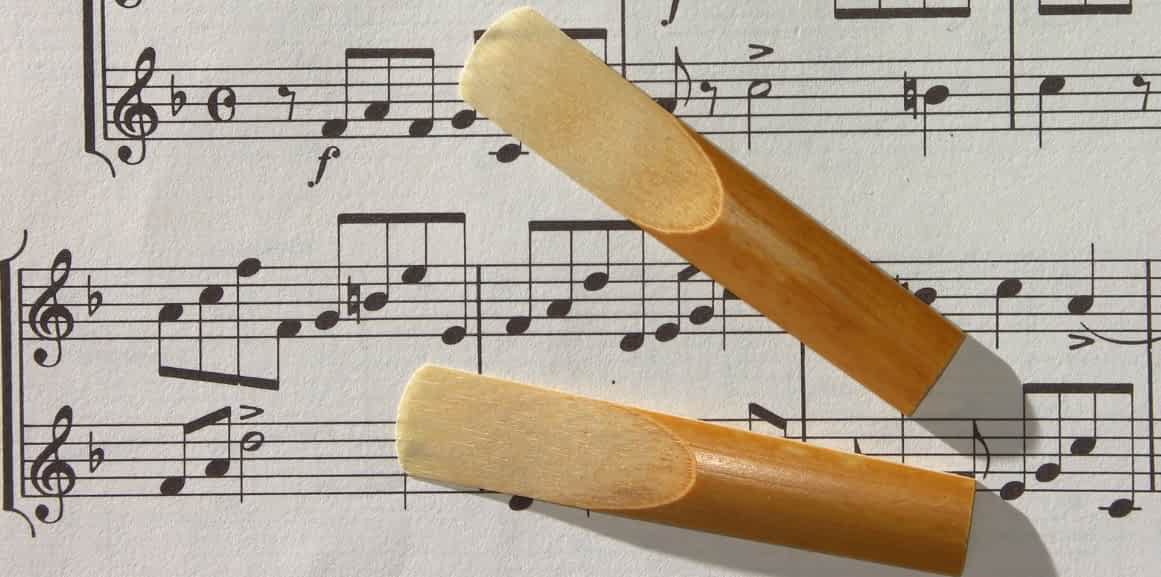 Best Reeds For (2023) Ted's List