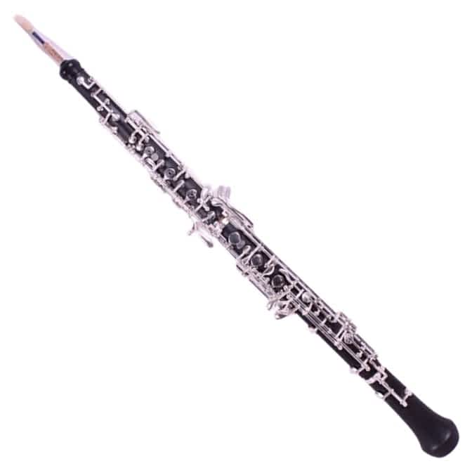 Yinfente Professional Oboe review