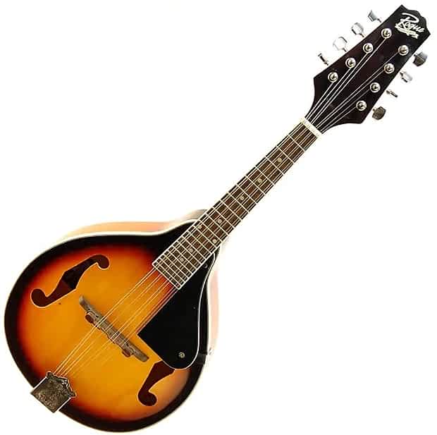 Rogue Rm-100A A-Style Mandolin Review