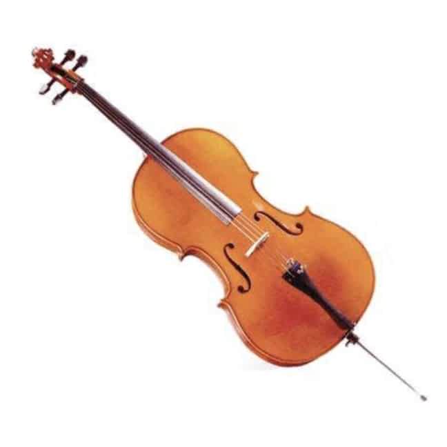 D Z Strad Handmade Student Cello Review