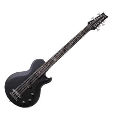 Schecter Dug Pinnick Dp-12 12-String Bass Guitar Review