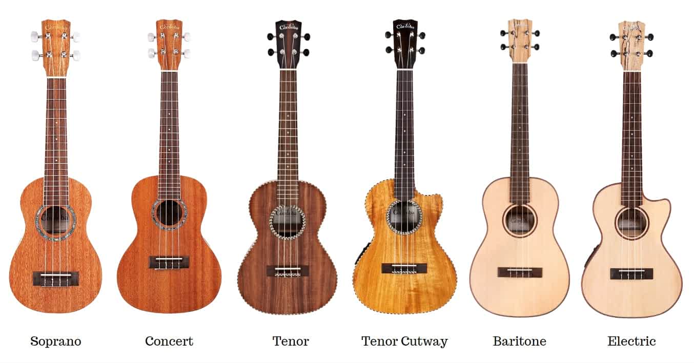 The Ultimate Cordoba Ukulele Review (2024) Ted's List