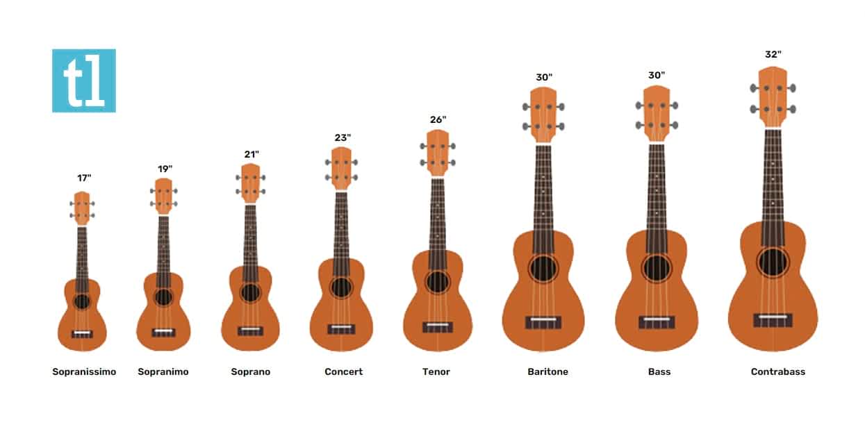 Top 15 Best Ukulele For A Beginner (2024) Ted's List