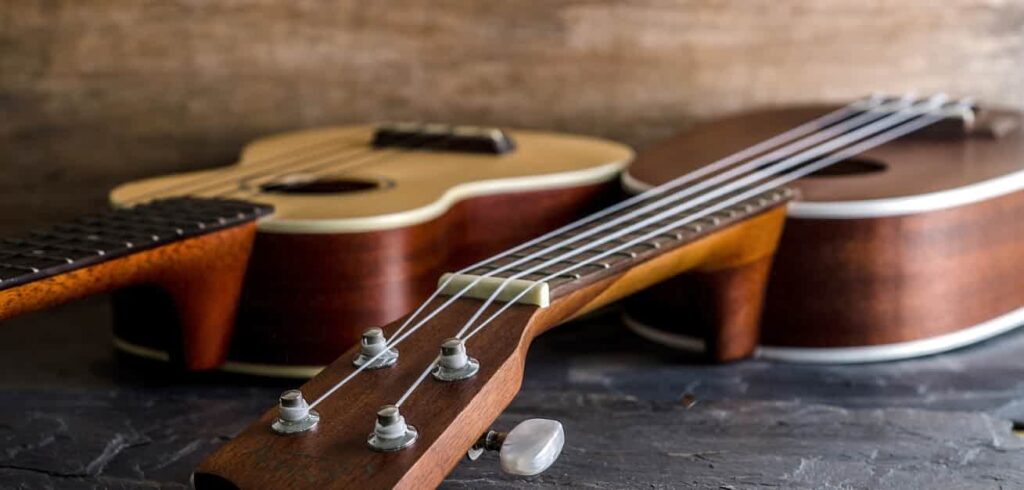 What Makes The Ukulele Different From Other Stringed Instruments