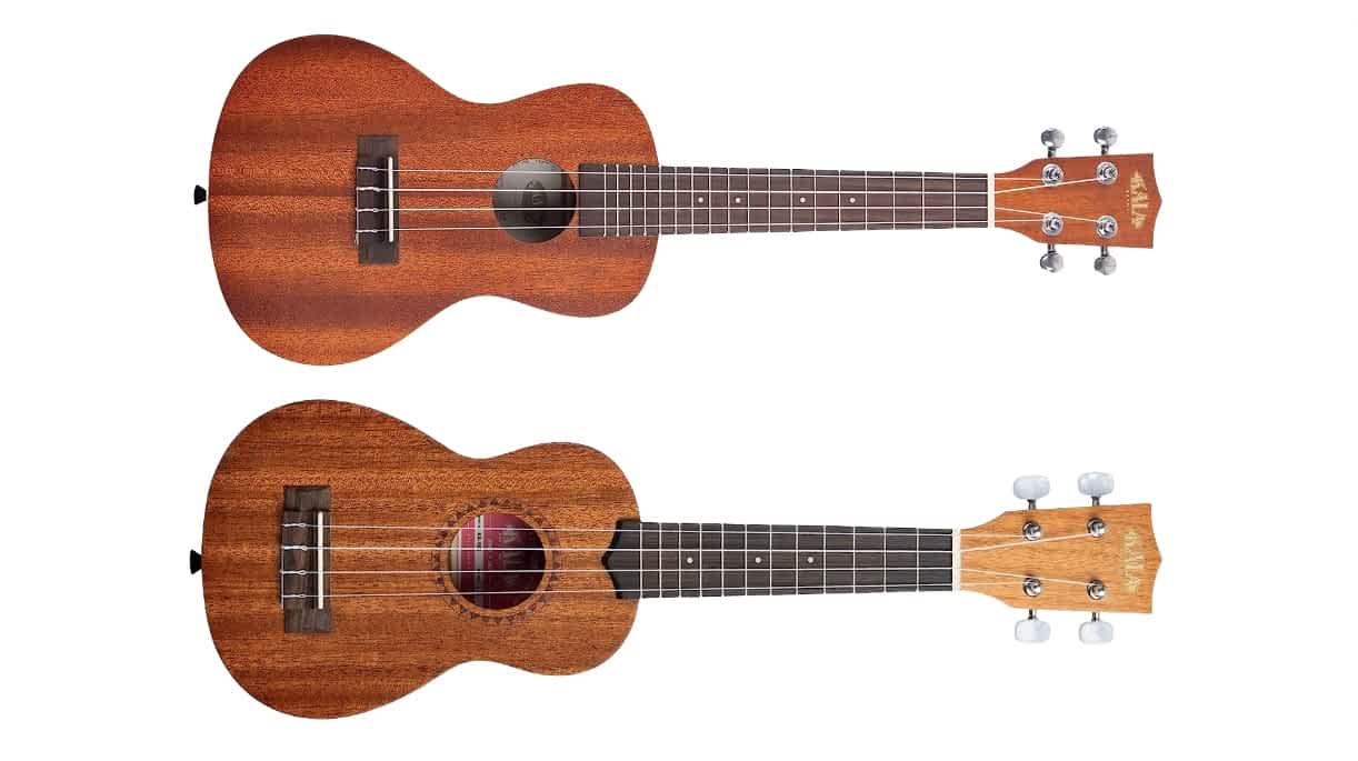 The Difference Between Concert And Soprano Ukulele Ted's List