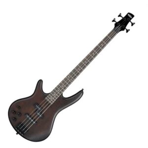 Top 15 Best Bass Guitars (2025) | Ted's List