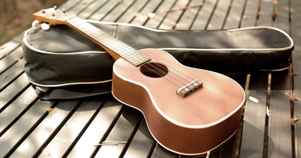 The Difference Between Concert And Soprano Ukulele Price And Affordability