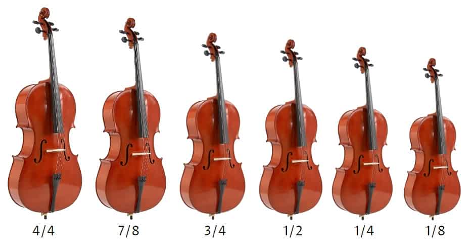 The Complete Different Cello Sizes