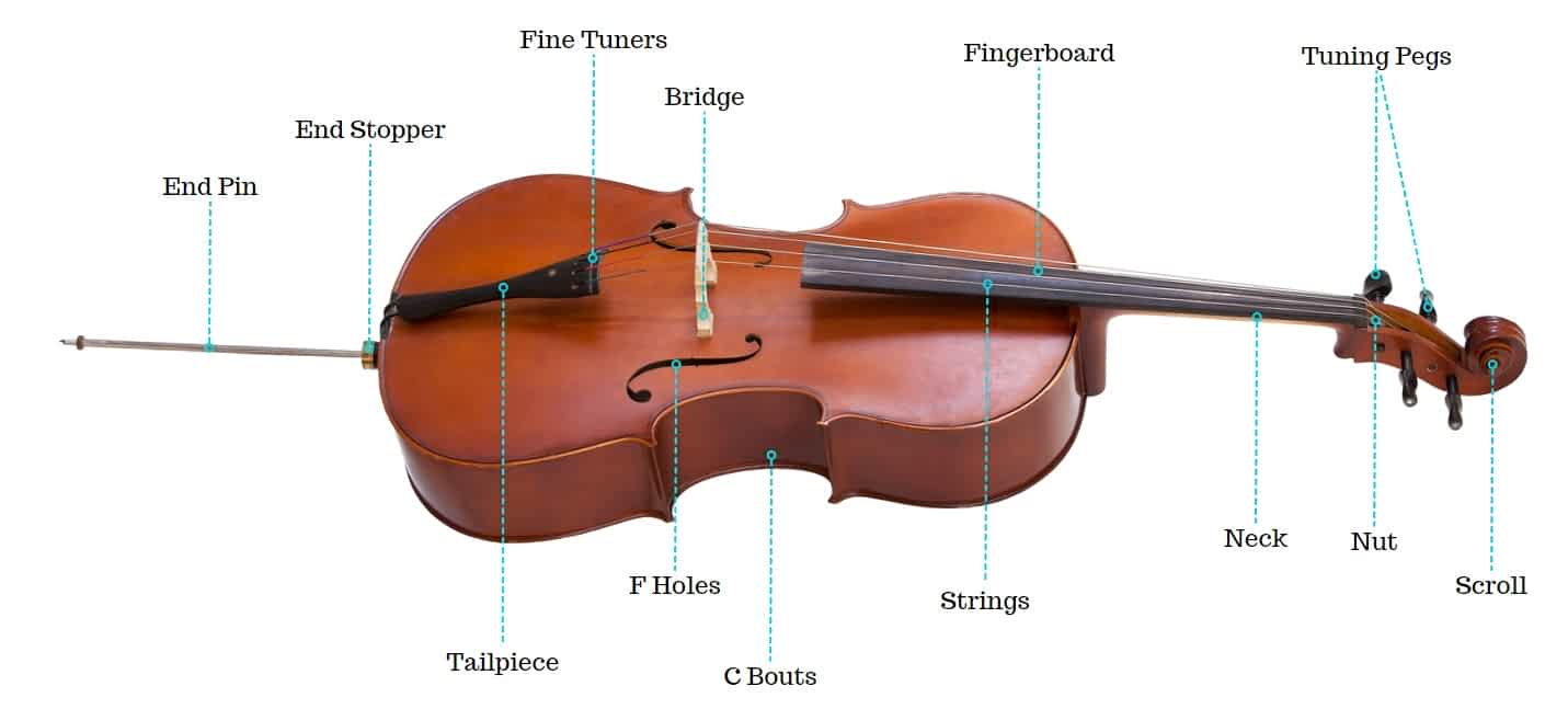Cello Tuning 101 How Is A Cello Tuned Ted's List