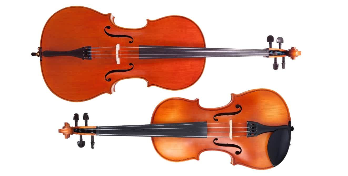 Cello Vs Violin Ted S List