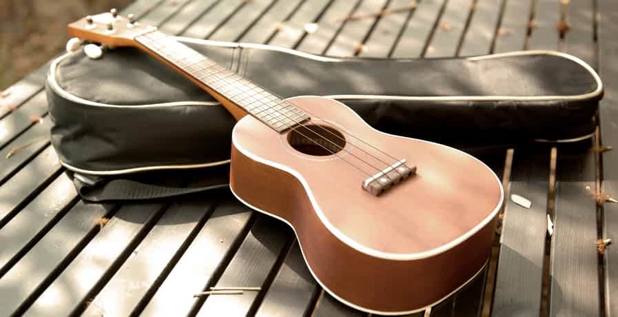What Is A Ukulele