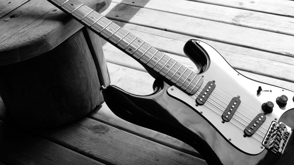 Ibanez Ergodyne Bass Guitar 5 Bass String Guitar