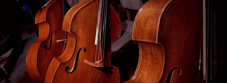 Bass Vs Double Bass - The Battle Of The Lower End! | Ted's List
