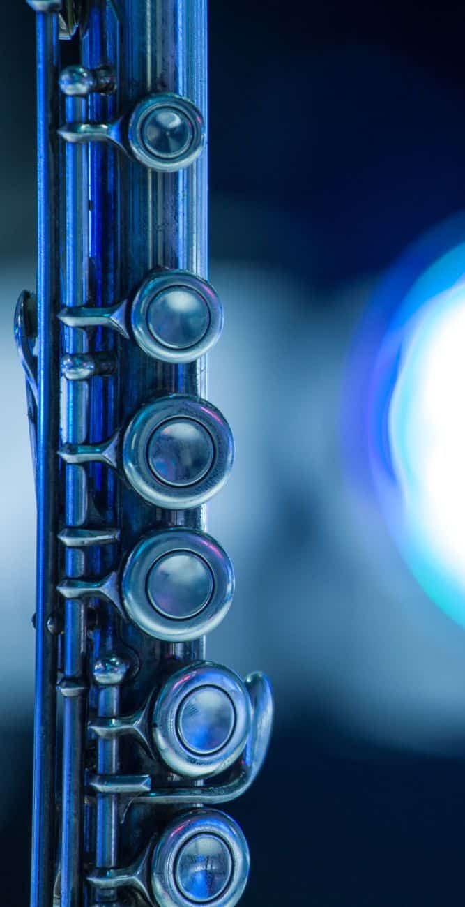 Flute Brands To Avoid Our Honest List In 2024 Ted's List