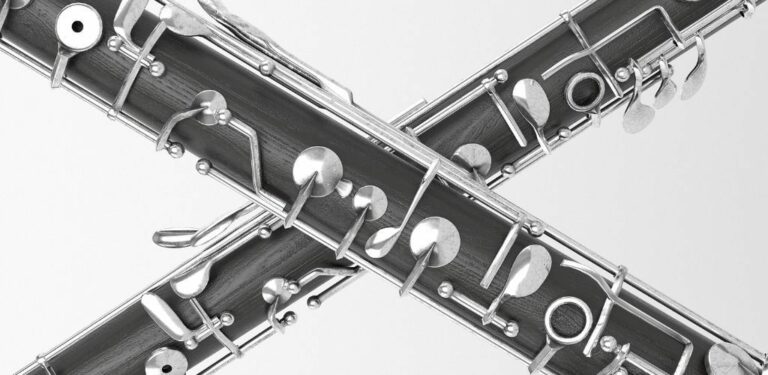 Oboe Raptor Types Of Oboes: Exploring The Various Styles And Sounds | Ted's List