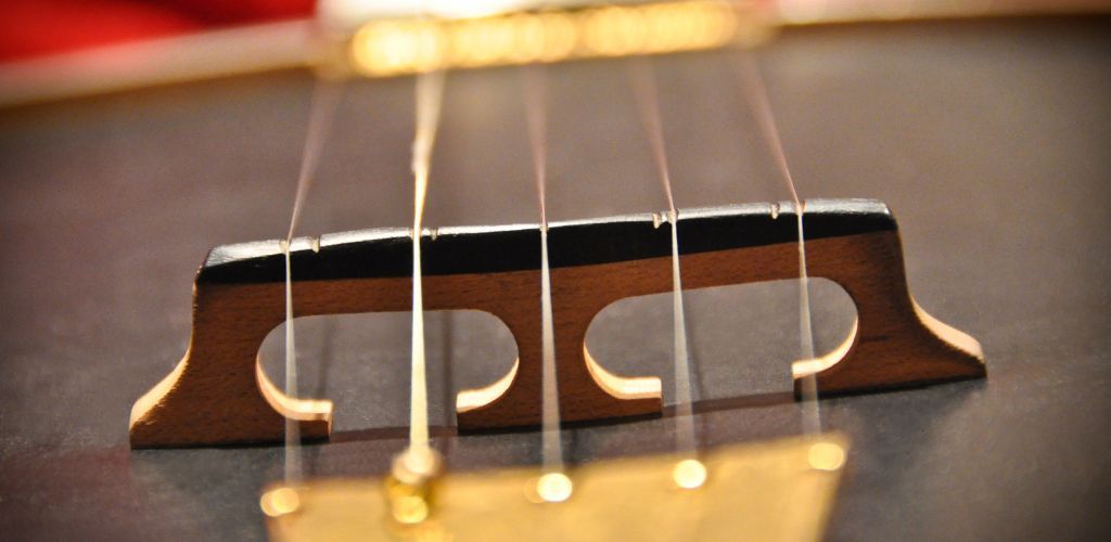 Is Banjo Hard To Learn? My Honest Opinion For Beginners A Banjo Bridge Showing The 5 Strings