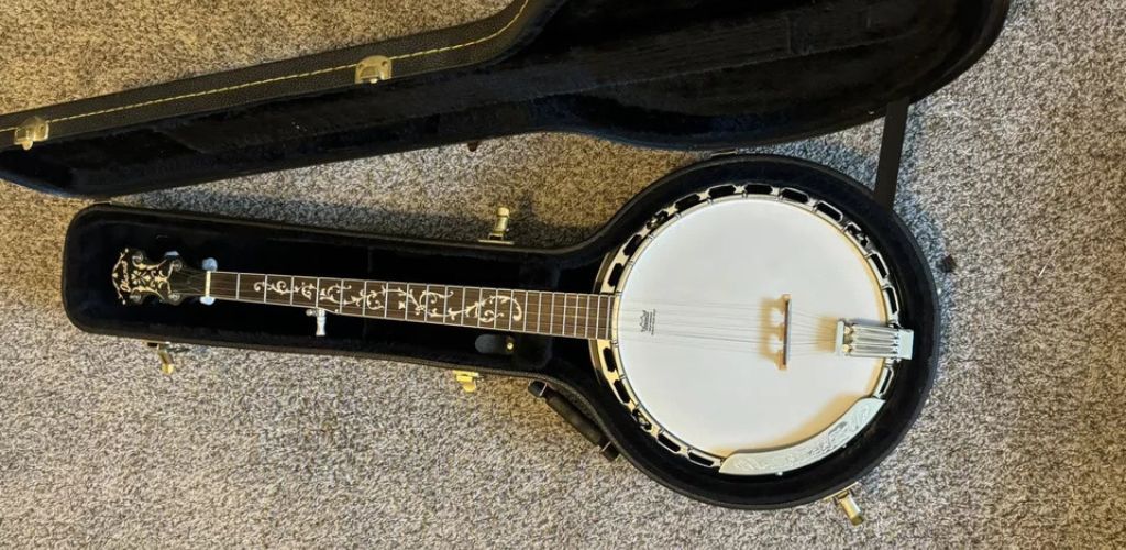 Is Banjo Hard To Learn? My Honest Opinion For Beginners Ibanez B200 5-String Resonator Banjo Image Taken By Teds-List