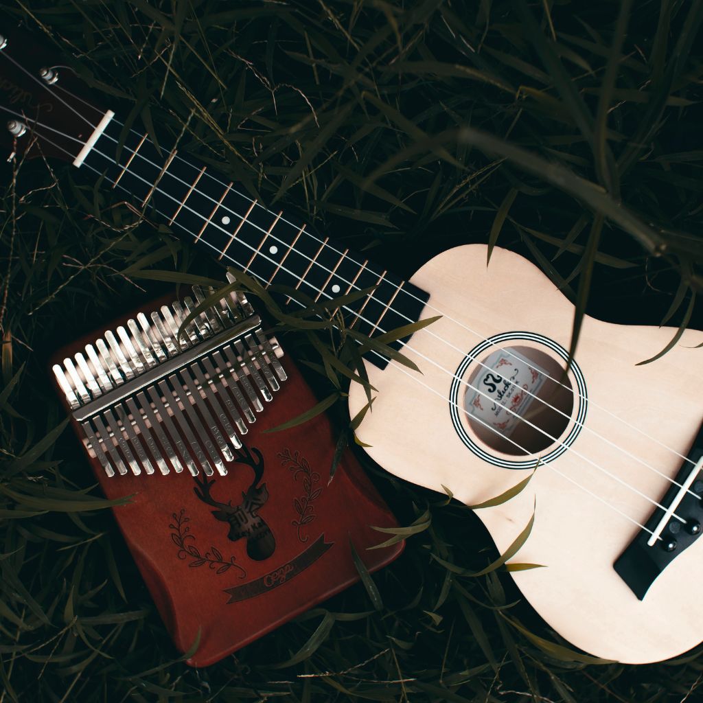 Smallest Instrument In The World A Kalimba And A Ukulele On The Grass