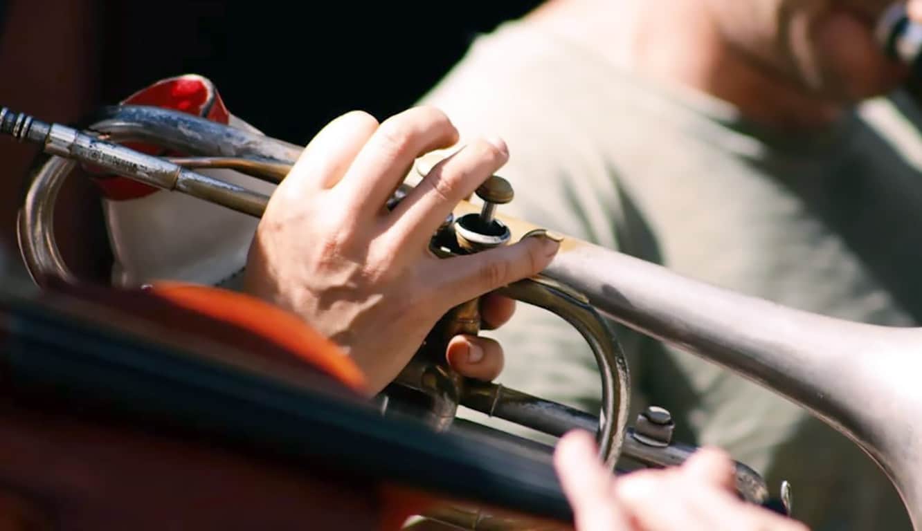 Brown Trumpet