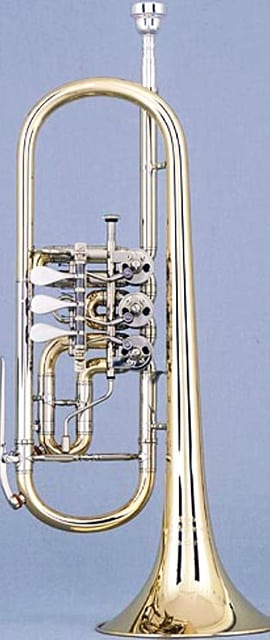 10 Crazy Trumpet Facts You Won’t Believe Until You Read Them! Trumpet In C With Rotary Valves