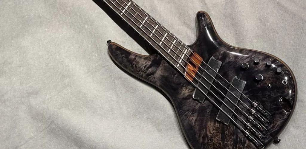 Sdgr Ibanez 5-String Bass: Elevate Your Groove Game Ibanez Bass Workshop Srms805 Image Taken By Teds-List