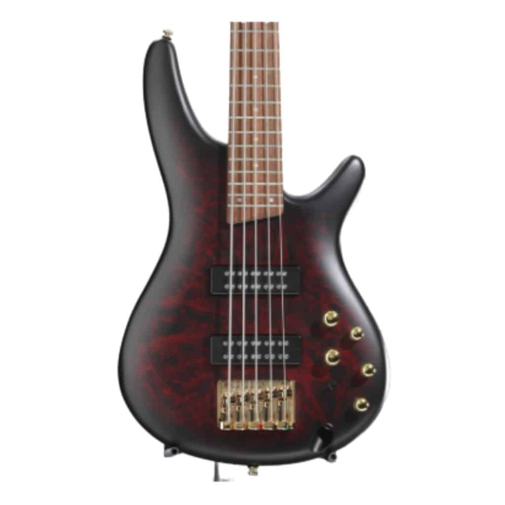 Sdgr Ibanez 5-String Bass: Elevate Your Groove Game Ibanez Sr Standard Sr305E Review