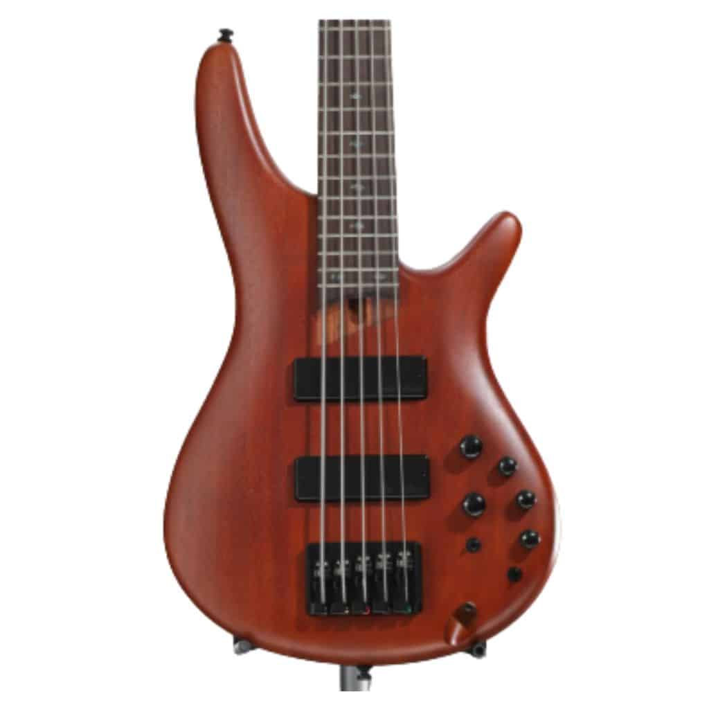 Sdgr Ibanez 5-String Bass: Elevate Your Groove Game Ibanez Sr505E Review