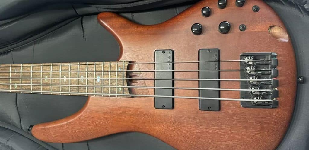 Sdgr Ibanez 5-String Bass: Elevate Your Groove Game Ibanez Sr505E Image Taken By Teds-List