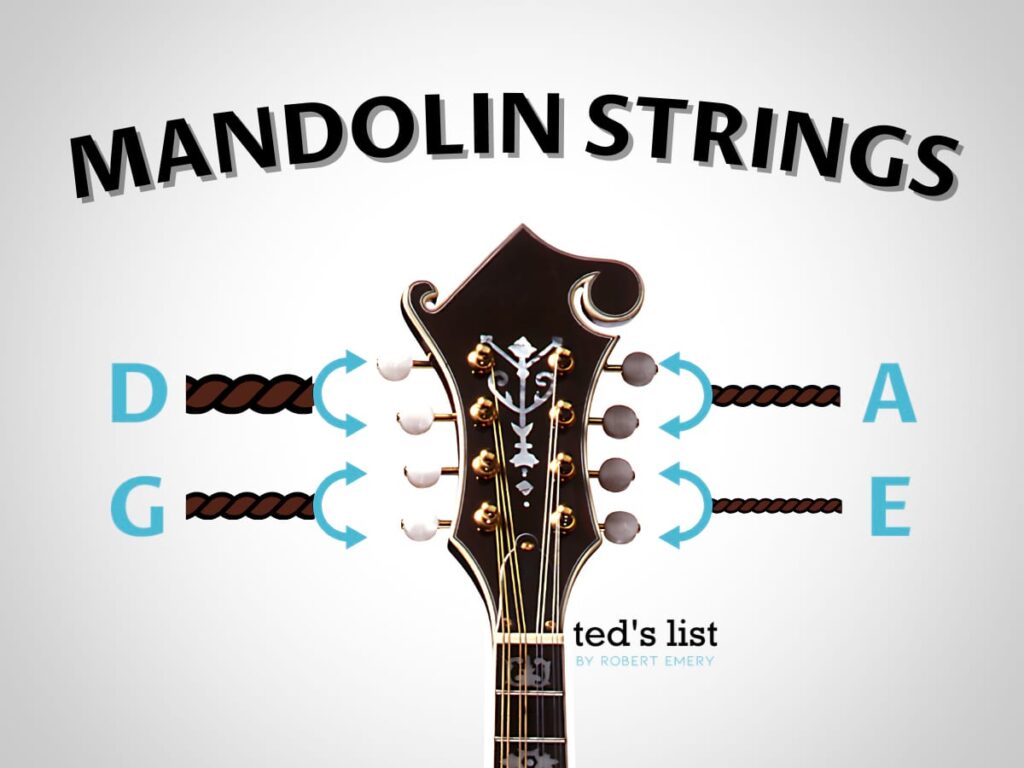 Mandolin String Names