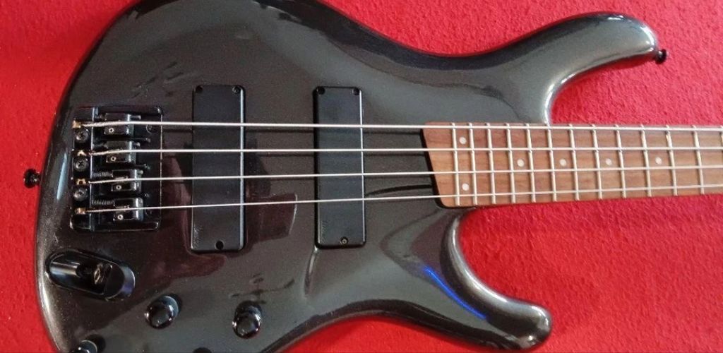 Ibanez Ergodyne Bass Guitar Ibanez Edb 600 Image Taken By Teds-List