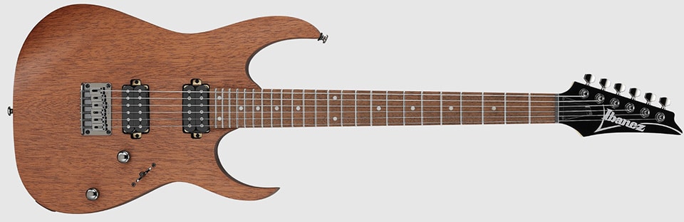 Best Beginner Ibanez Guitar: Your Perfect Entry Into Music Greatness Ibanez Rg421