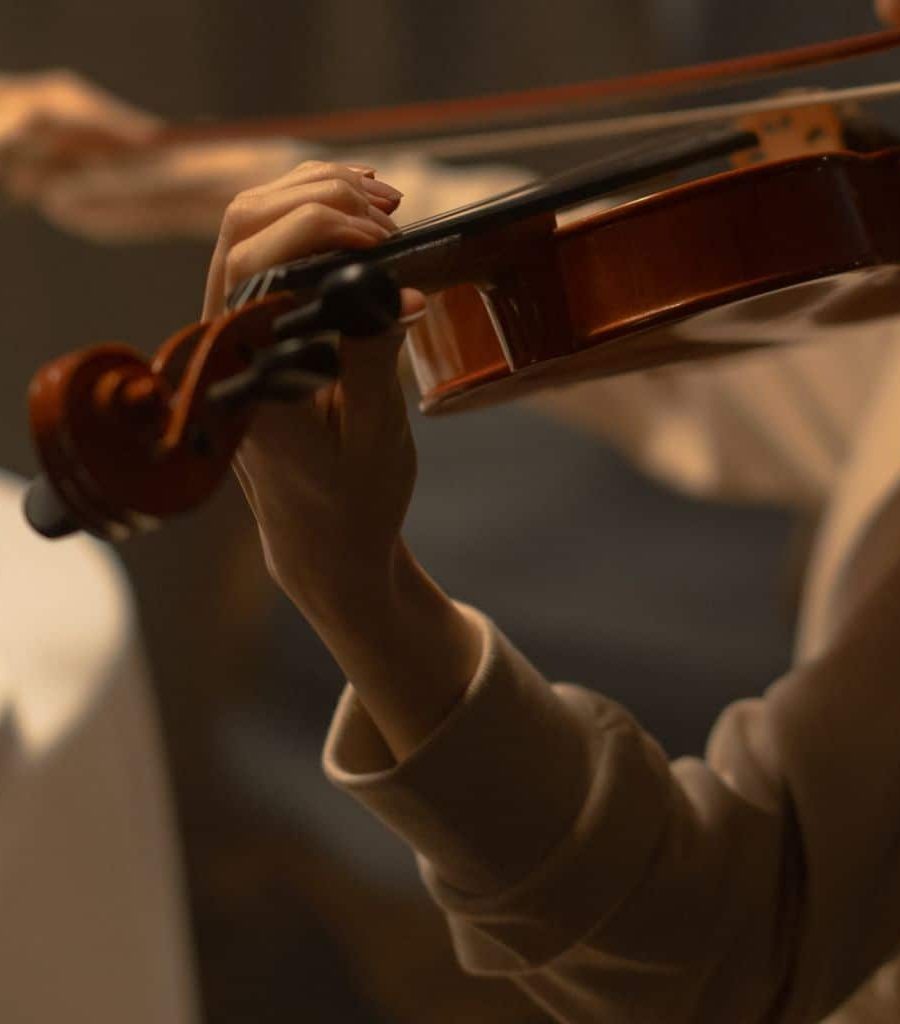 A Violinist Hands Showing The Proper Grip A Violinist Hands Showing The Proper Grip