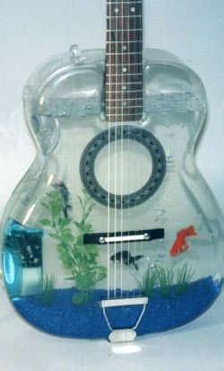 Aquarium Acoustic Guitar