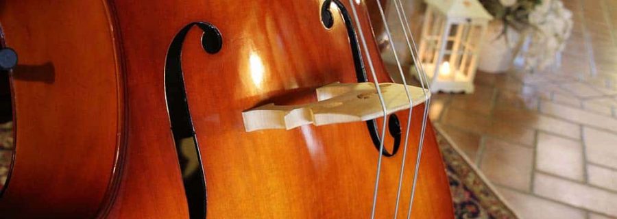 easiest string instrument to learn double bass easiest string instrument to learn double bass
