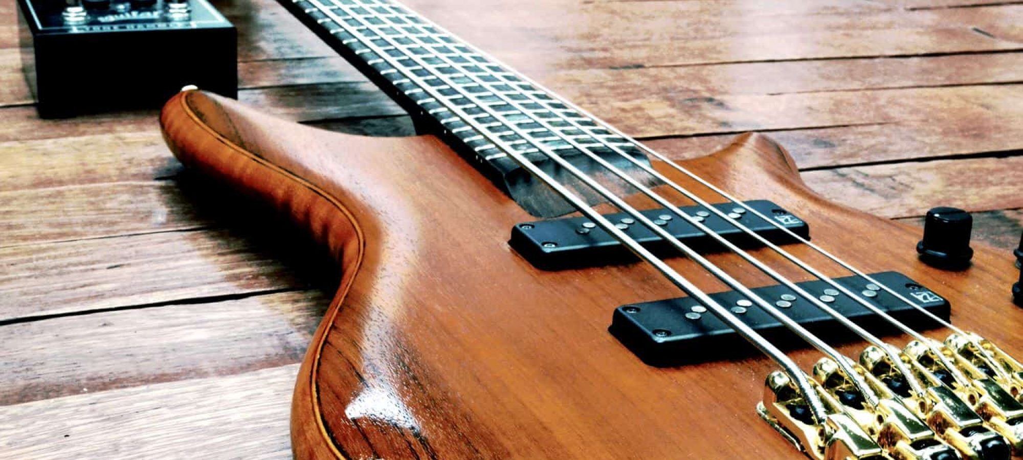 bass guitar feature bass guitar feature