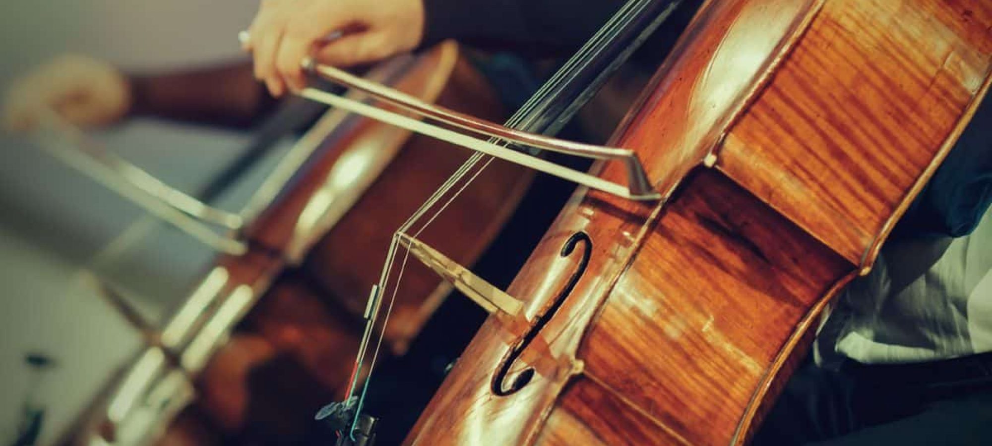 cello review cello review