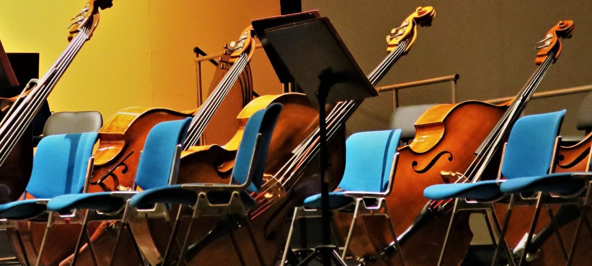 Double Bass. Ted's List