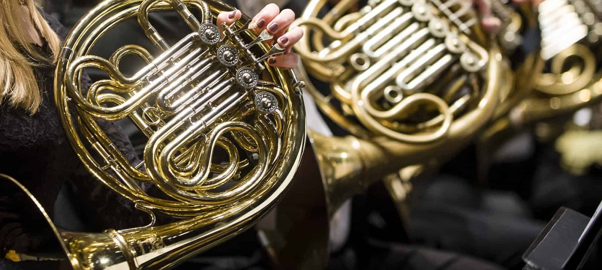 French Horn. Ted's List