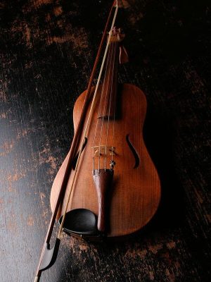 Violin Facts